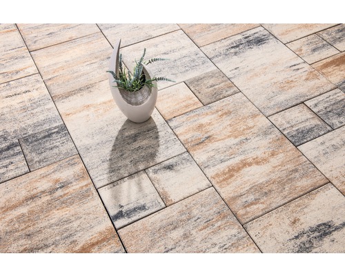 Pavés posés avec motif et vase avec plante