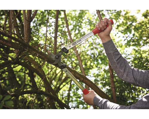Eine Person schneidet mit einer Astschere einen Baumast.