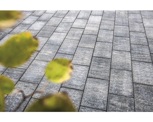 Des pavés gris forment un chemin de jardin.