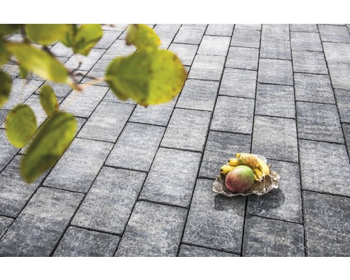 Pavés en pierre avec coupe de fruits dans le jardin