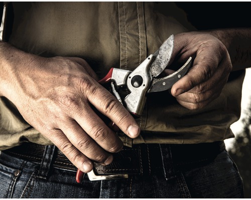 Une personne tient un sécateur dans ses mains.