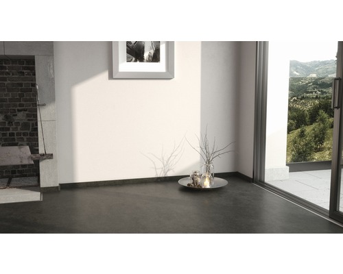 Innenraum mit dunklem Boden, weisser Wand und Ausblick ins Grüne