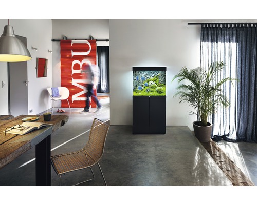 Wohnraum mit Aquarium auf Unterschrank, Esstisch und Stühlen