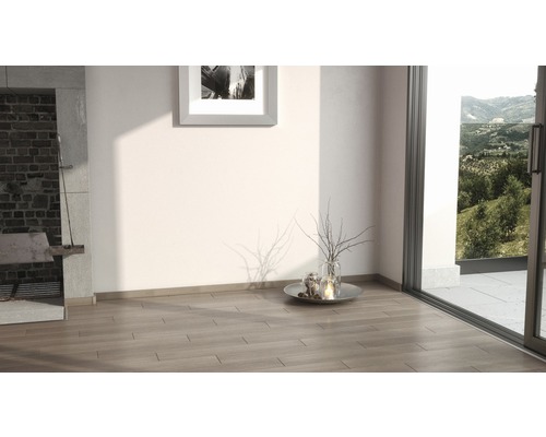 Pièce lumineuse avec cheminée, plancher en bois et vue sur l''extérieur