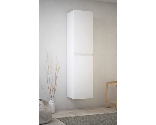 Armoire de salle de bain suspendue avec deux portes dans une salle de bain