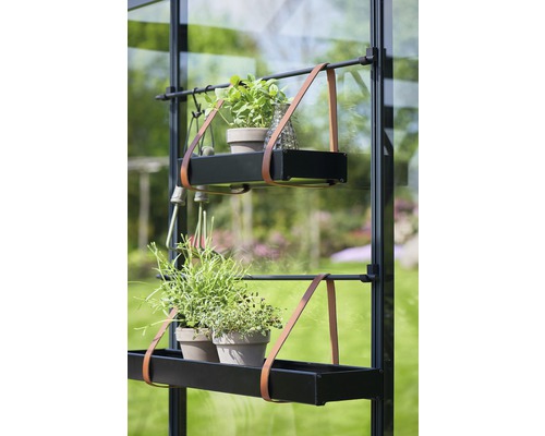 Gewächshausregal mit Pflanzen