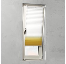 Plissee am Fenster zur Lichtregulierung