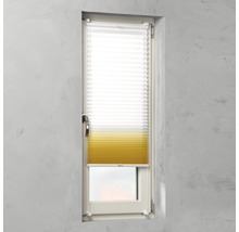 Fenster mit Faltrollo