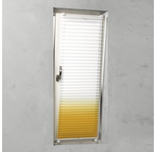 Plissee Rollo am Fenster zur Beschattung