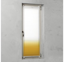 Plissee Rollo am Fenster zur Lichtregulierung.