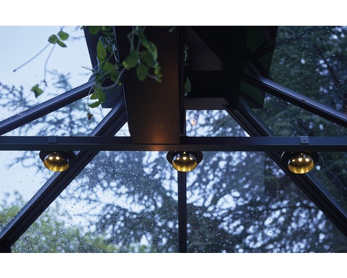 Vue intérieure d''une serre avec plantes et éclairage