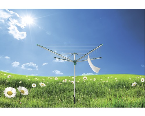 Drehflügelwäscheständer im Freien auf einer Wiese mit Gänseblümchen