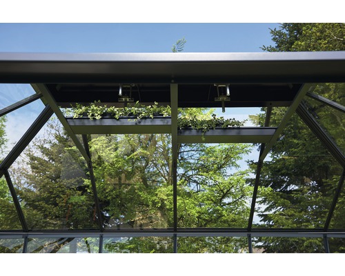 Vue intérieure de serre avec étagère à plantes