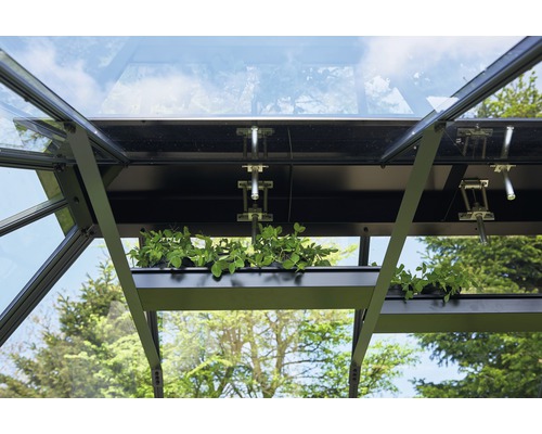Vue détaillée d''une serre avec étagère à plantes
