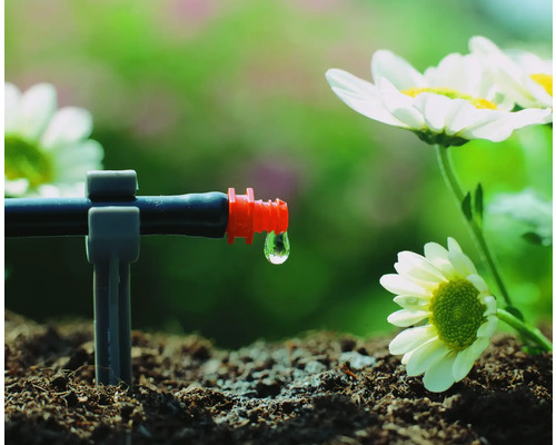 Système d''irrigation goutte à goutte en fonctionnement avec des gouttes d''eau et des plantes