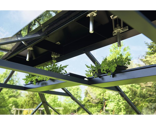 Vue détaillée de l''intérieur de la serre avec des plantes