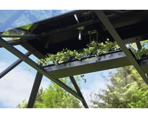 Vue intérieure de serre avec étagère à plantes