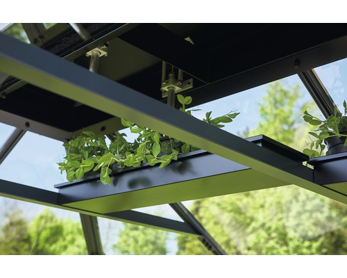 Gros plan de l''intérieur d''une serre avec des plantes en pot sur une étagère