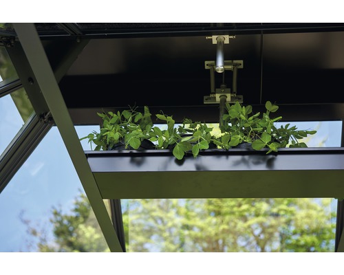 Vue intérieure d''une serre avec étagère à plantes et ouvre-fenêtre automatique