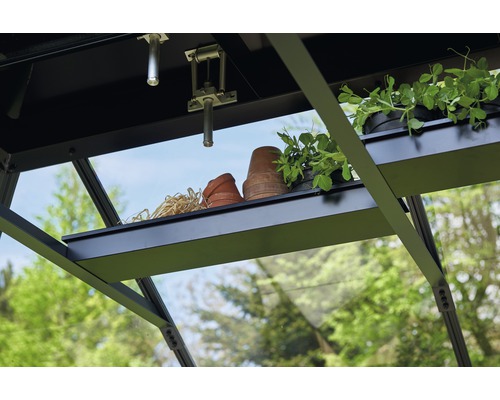 Vue intérieure d''une serre avec étagères, pots de fleurs et plantes