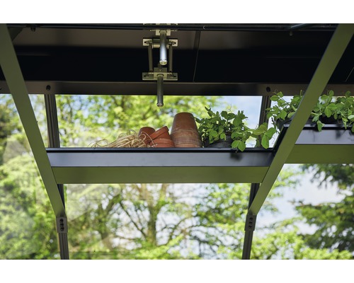 Intérieur de serre avec étagère, pots de fleurs et plantes