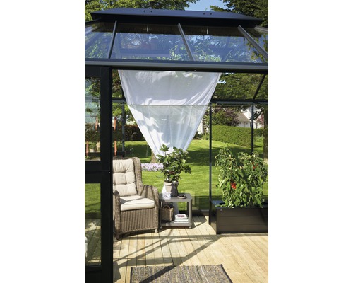 Gewächshausinneneinrichtung mit Sessel, Tisch und Pflanzen