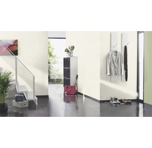 Flur mit Treppe, Schuhschrank, Garderobe und Accessoires in einem modernen Design.