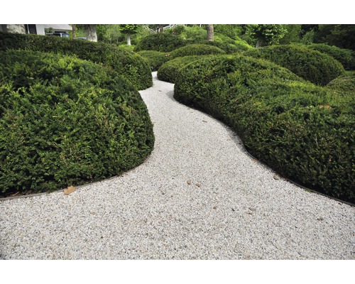 Gartenweg mit Kies und Hecken