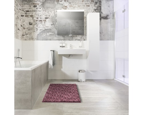Salle de bains avec baignoire, lavabo, armoire de toilette, armoire haute, poubelle à pédale et tapis