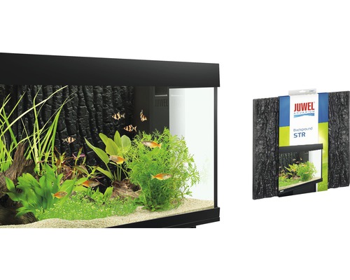 Juwel Aquarium Rückwand Struktur mit Aquarium