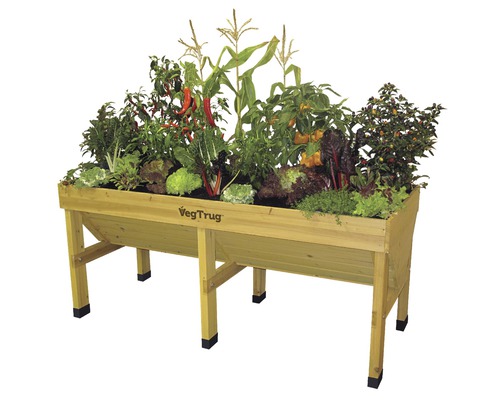 Jardinière surélevée en bois plantée de divers légumes et herbes aromatiques