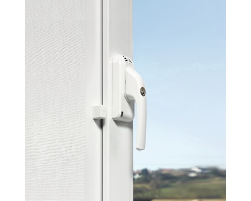 Fenêtre avec poignée de fenêtre et serrure