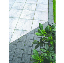 Allée de jardin avec pavés clairs et foncés et plantes