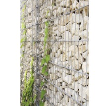 Basisbausatz bellissa Mauersystem limes 23 227 x 60 cm