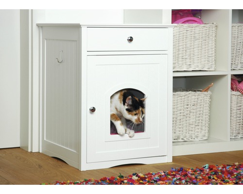 Chat dans un meuble de toilette pour chat avec tiroir