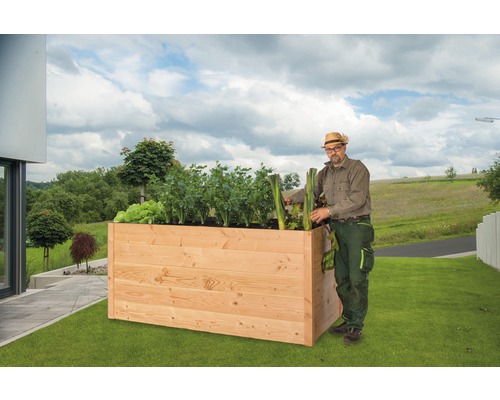 Jardinière surélevée en bois avec jardinier et divers légumes dans le jardin