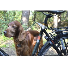 Fahrradleine WALKY Dog Plus mit Abstandshalter aus Metall ca. 37,5 cm und Quicklock Schnellverschluss