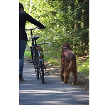 Person schiebt Fahrrad mit Hund an der Leine auf einem Weg