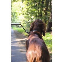 Fahrradleine WALKY Dog Plus mit Abstandshalter aus Metall ca. 37,5 cm und Quicklock Schnellverschluss