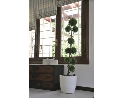 Arbre topiaire décoratif en pot devant une fenêtre et une commode