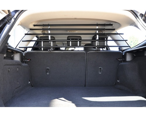 Coffre d''une voiture avec une grille pour chien installée