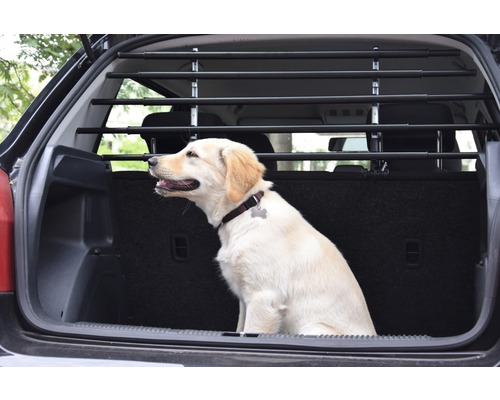 Chien clair assis dans le coffre avec une grille de protection pour chien installée