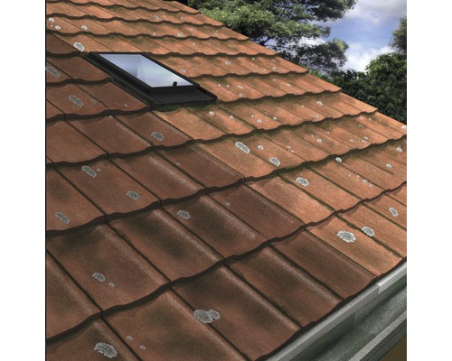 Dach mit Dachziegeln und Dachfenster