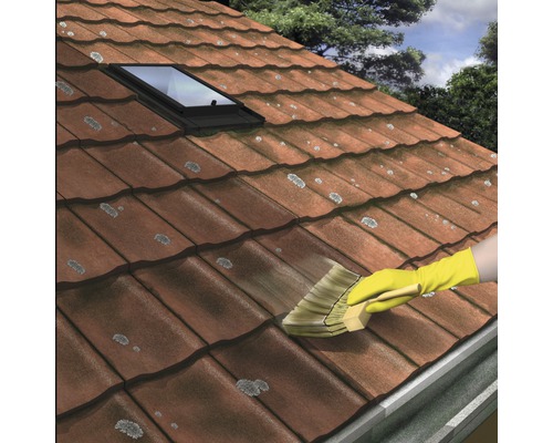 Dachreinigung mit Bürste und Handschuhen auf einem Dach mit Dachfenster