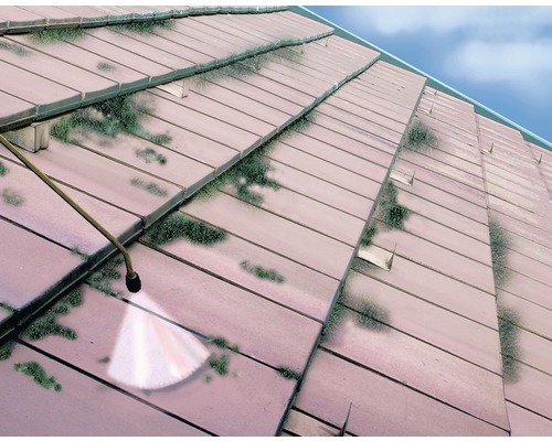 Dachziegelreinigung mit Sprühgerät zur Moosentfernung