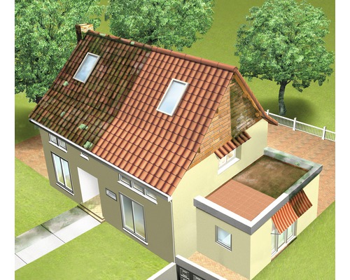 Hausdach vor und nach der Reinigung