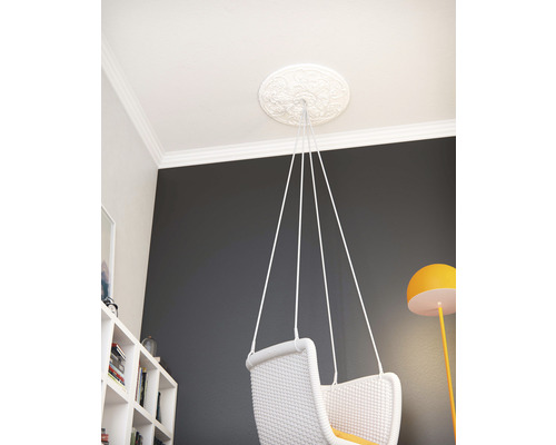 Photo d''intérieur d''une pièce avec une rosace de plafond et un fauteuil suspendu