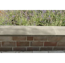 Mauer mit Ziegeln und Steinabdeckung vor Pflanzen