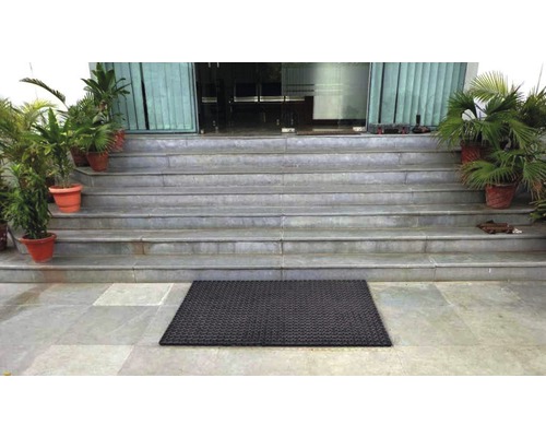 Espace d''entrée avec escalier, plantes et paillasson