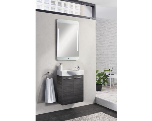 Badezimmer mit Waschbeckenunterschrank, Spiegel mit Beleuchtung, Handtuchhalter und Pflanze